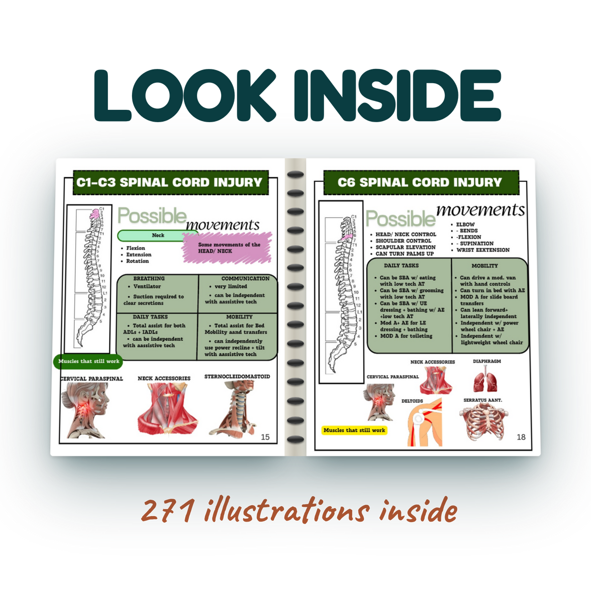 The Clinical Shelf — OT Notes for Spinal Cord Injury, Paediatrics & Neuro