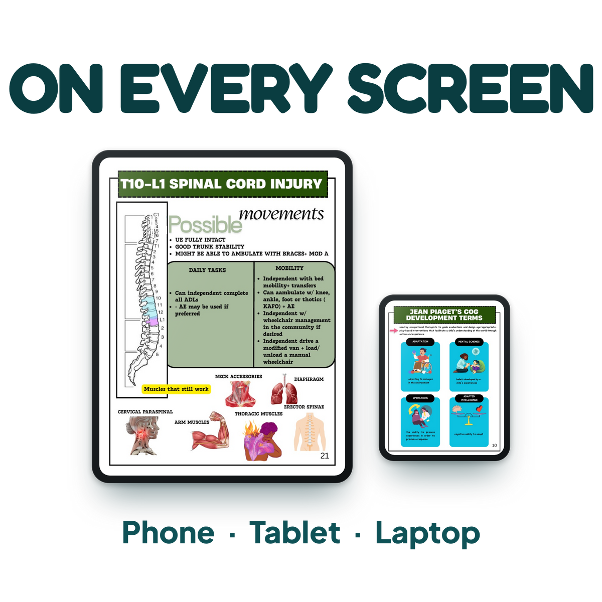 The Clinical Shelf — OT Notes for Spinal Cord Injury, Paediatrics & Neuro