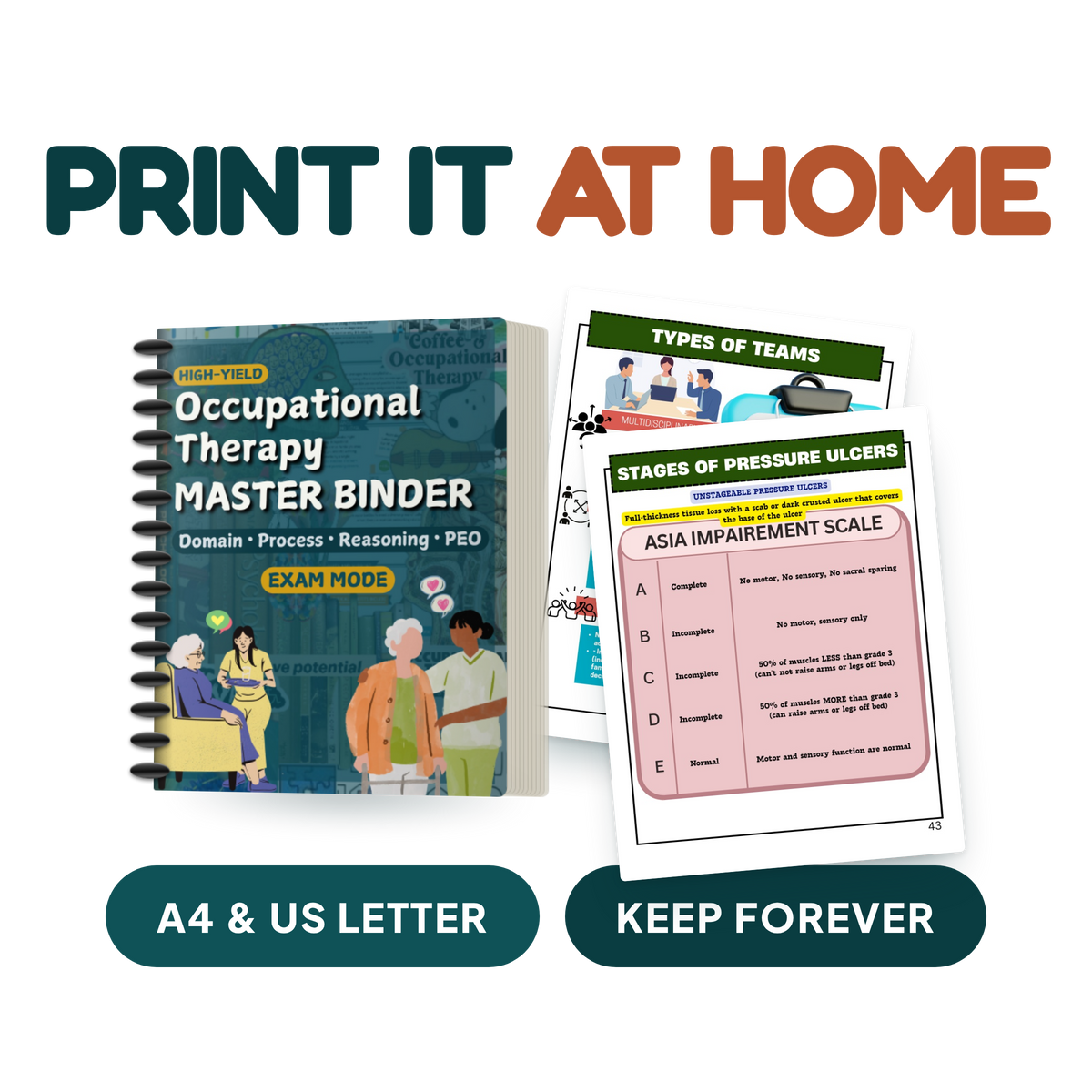 The Core Shelf | Occupational Therapy Study Notes