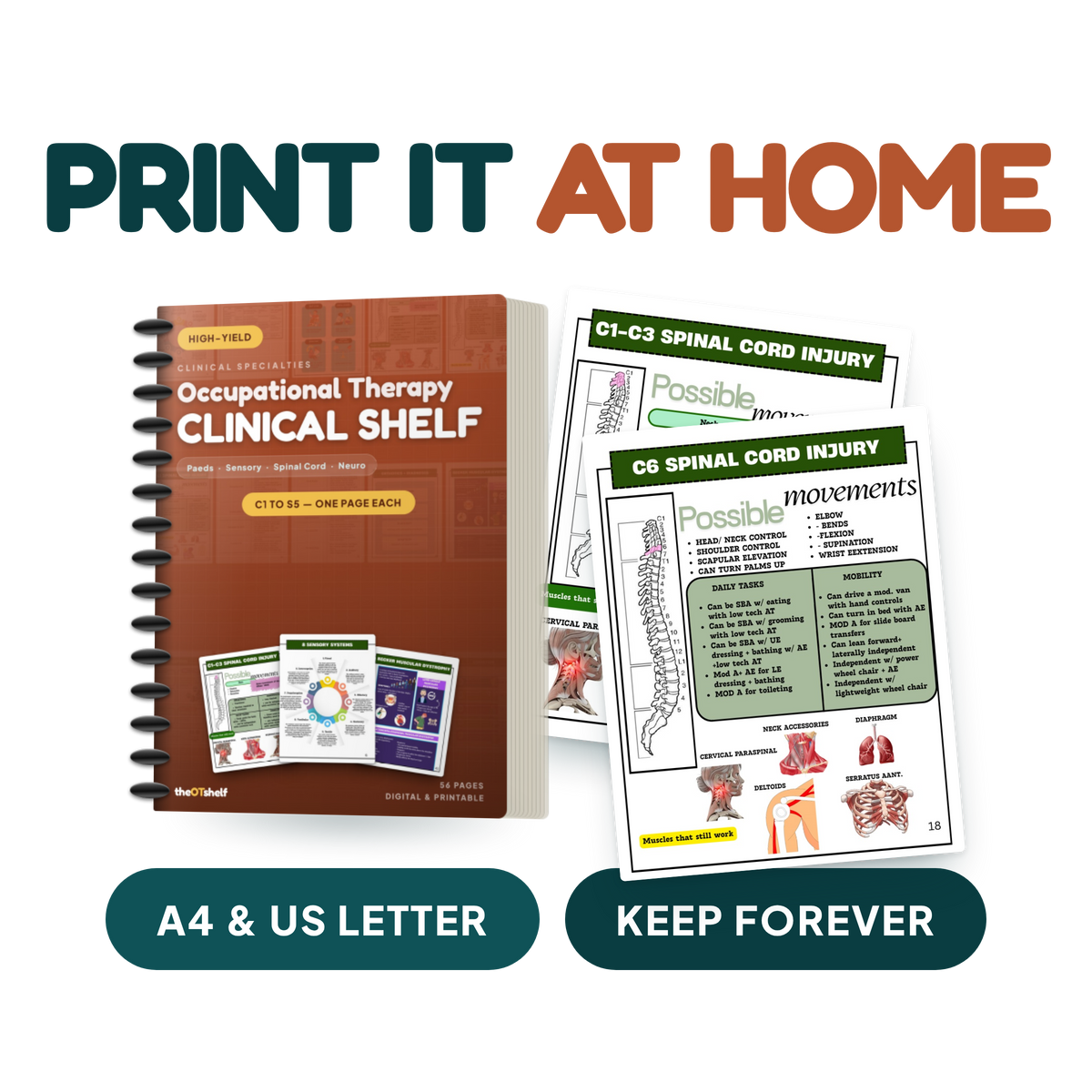 The Clinical Shelf — OT Notes for Spinal Cord Injury, Paediatrics & Neuro